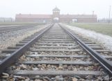 Read more about the article Against all odds:  Male Holocaust Survivors Have a Longer Life-Expectancy