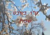 Read more about the article ט"ו בשבט הגיע