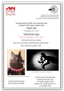 Read more about the article שתי תערוכות יחיד : אבי כוכבי וענבל מנדס-פלור